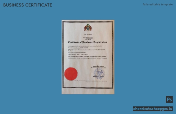 Beispielansicht einer Gewerbeanmeldung in Gambia